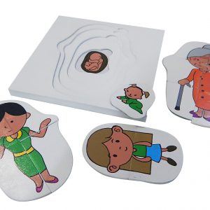 แผ่นต่อภาพการเจริญเติบโตของผู้หญิง (Development of Girl Puzzle) - Image 4