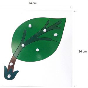 แผ่นต่อภาพรูปใบไม้ (Leaf Puzzle) - Image 4