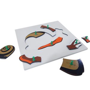 แผ่นต่อภาพรูปหอยทาก (Snail Puzzle) - Image 4