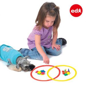 วงแหวนแบ่งกลุ่ม (Sorting Rings) - Image 4