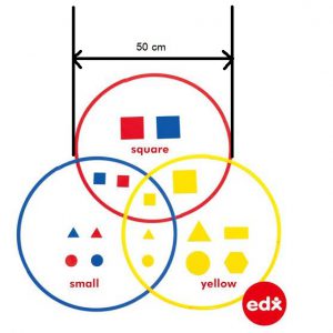 วงแหวนแบ่งกลุ่ม (Sorting Rings) - Image 5